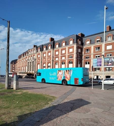 movil 1